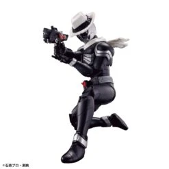 Bandai Kamen Rider Figure-rise Standard Kamen Rider Skull Model Kit -Bandai 155 5085 o 1gd2jknpp1p6ejad3e469uof2d