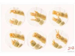 Kotobukiya Sousai Shoujo Teien Touou High School Winter Clothes Madoka Yuki 1/10 Scale Model Kit -Bandai 419716ea a12c 4d35 8e8e d572eee3add7